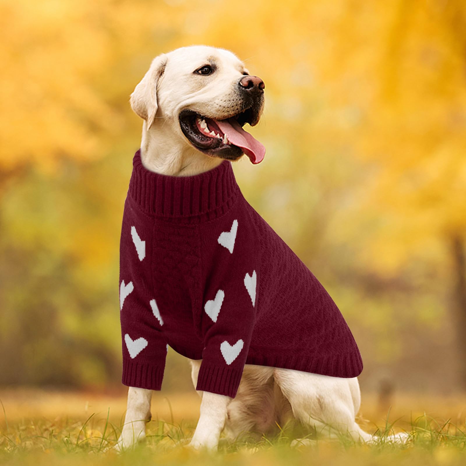 Paseo en clima frío con la sudadera Kuoser para perros, protección ligera