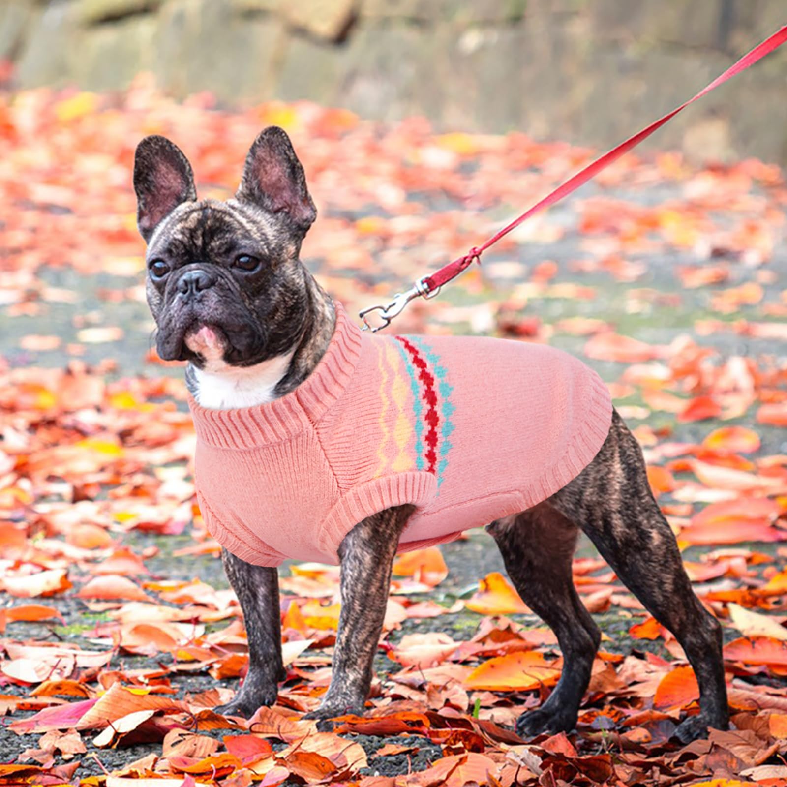 Kuoser sudadera para perro rosa XS, vista lateral con estilo moderno