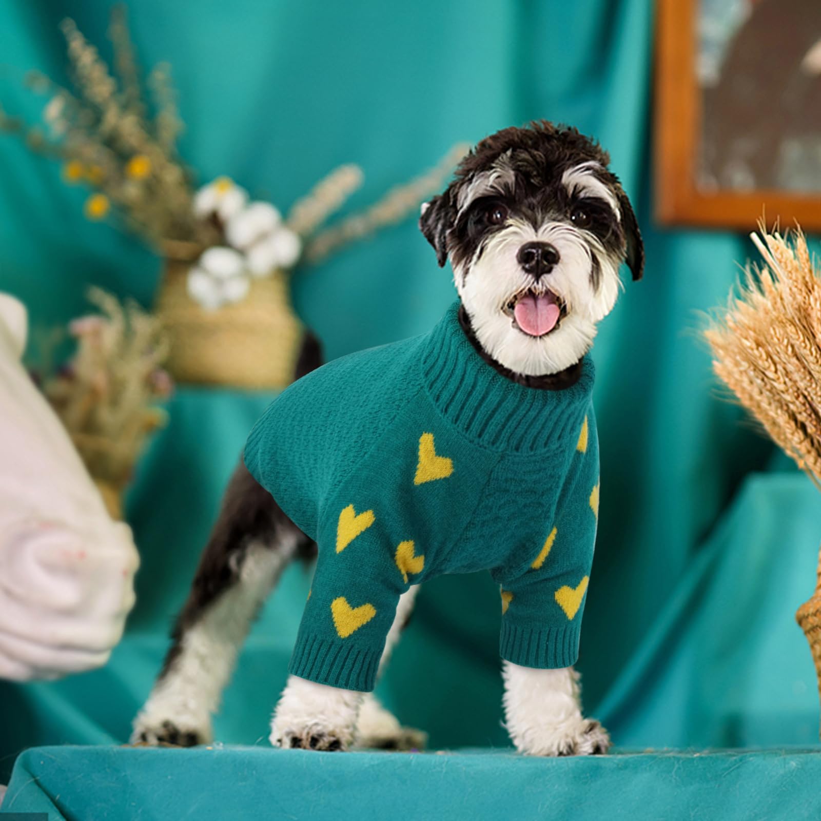 Kuoser suéter perro diseño pullover fácil de poner y quitar.