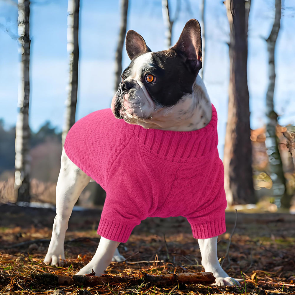 Kuoser suéter para todo el año, rosa, tejido ligero para paseos cortos