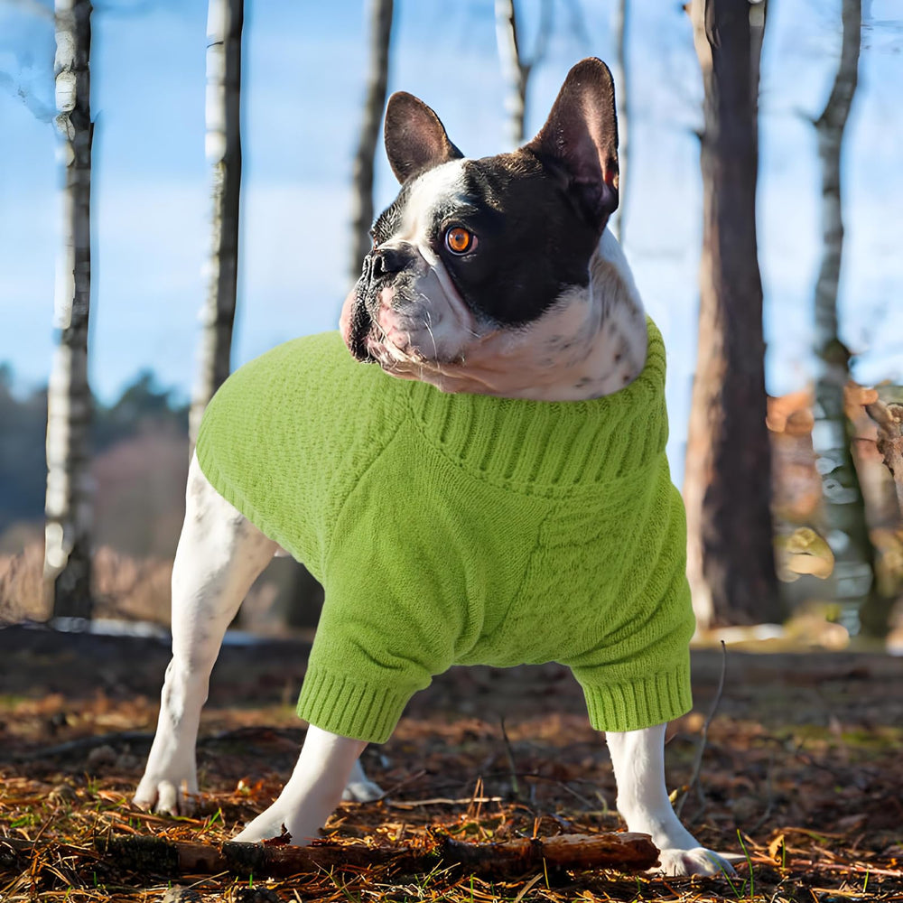 Uso diario del suéter Kuoser XS para perros pequeños en verde