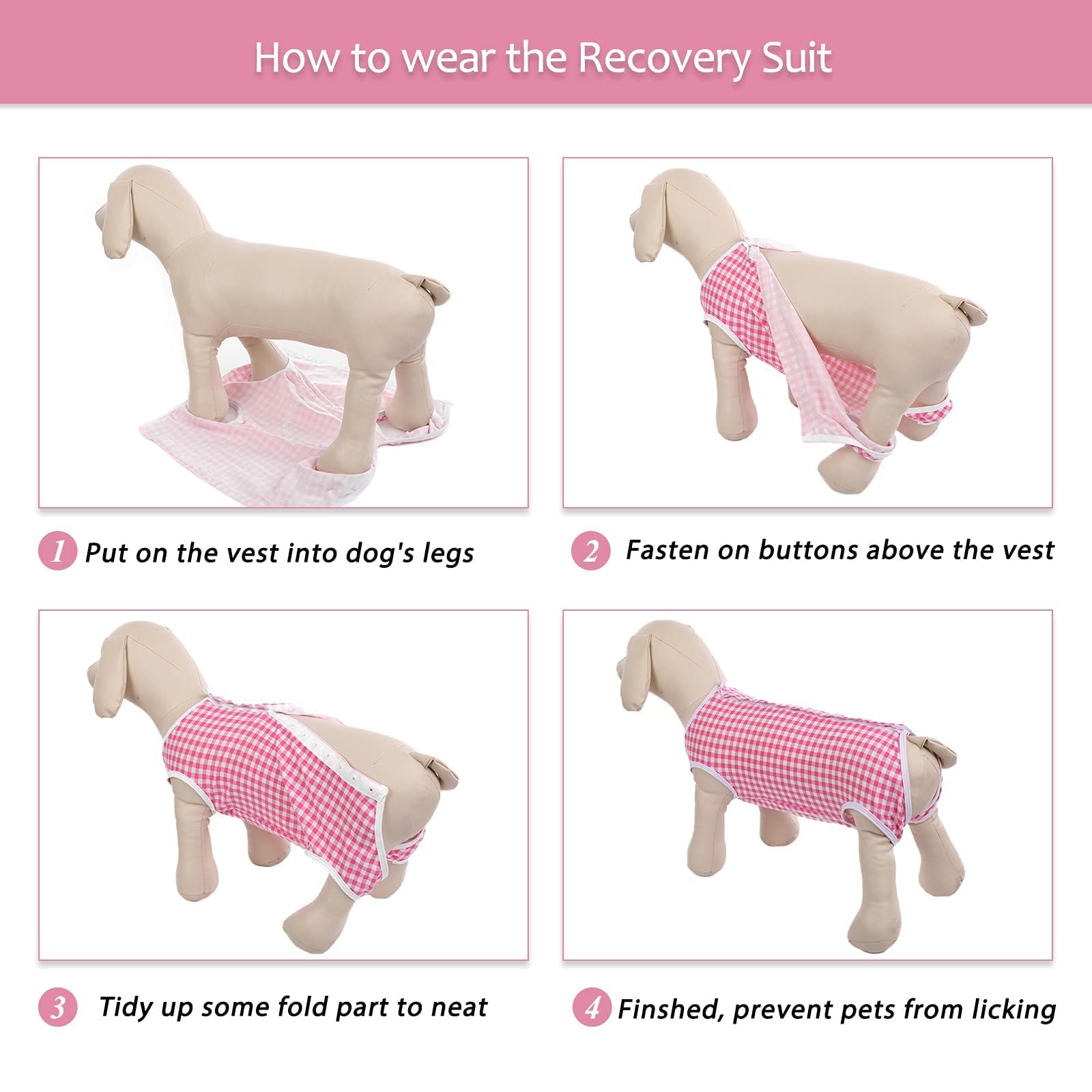 Kuoser tallas XS a XL para perros de todos tamaños.