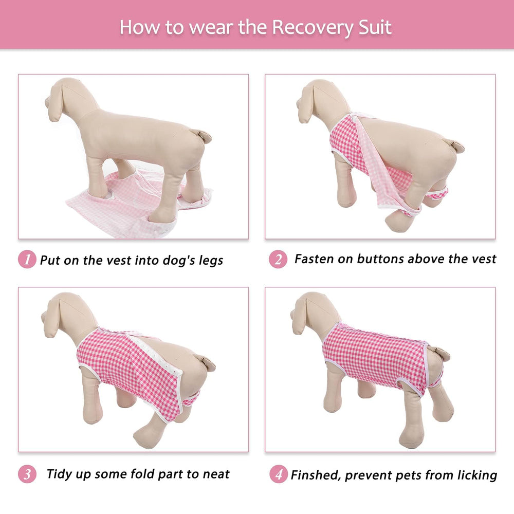 Kuoser tallas XS a XL para perros de todos tamaños.