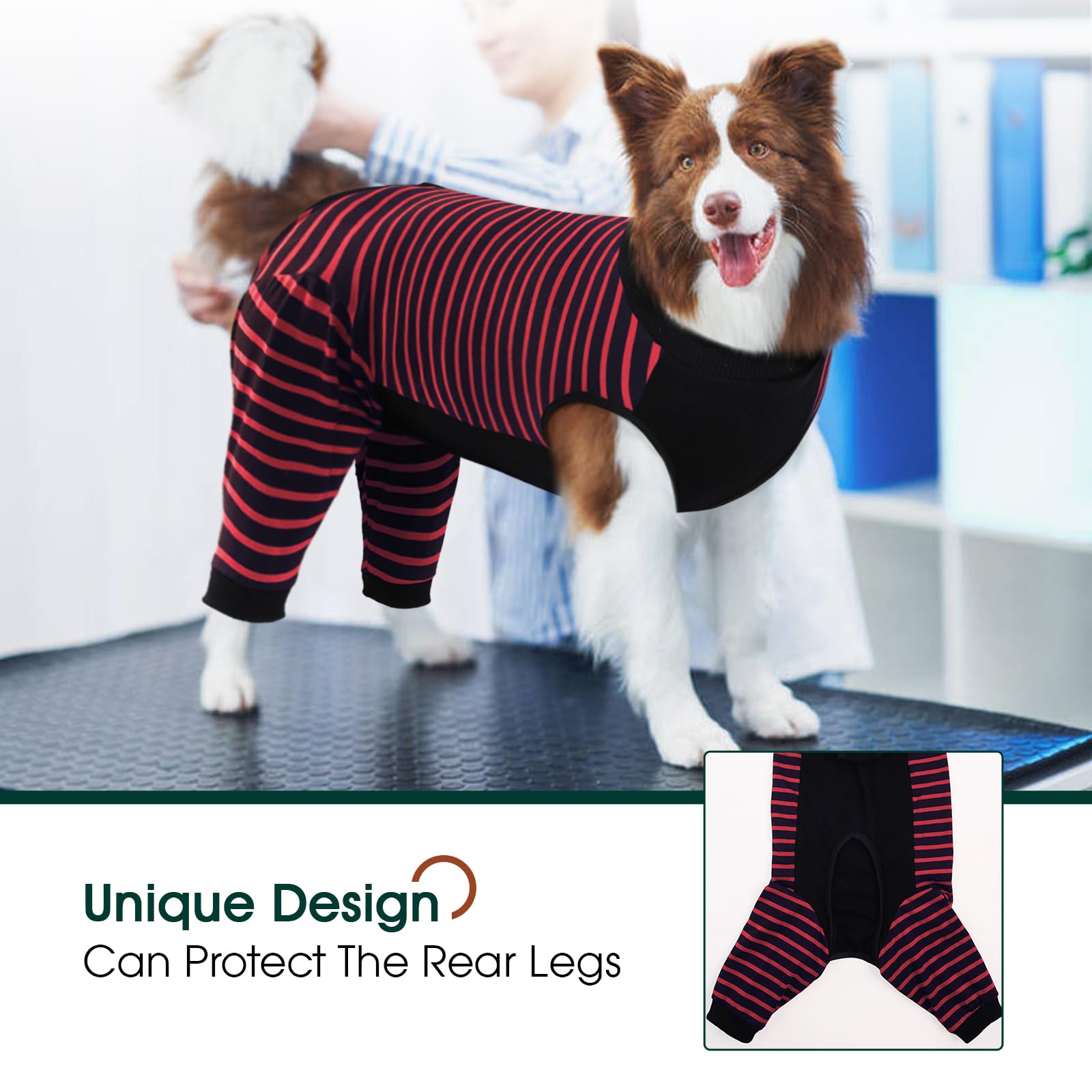 Kuoser traje quirúrgico perro abdomen: protege incisiones con tejido cómodo.
