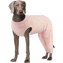 Kuoser traje recuperación para pata trasera protege la herida sin cono.