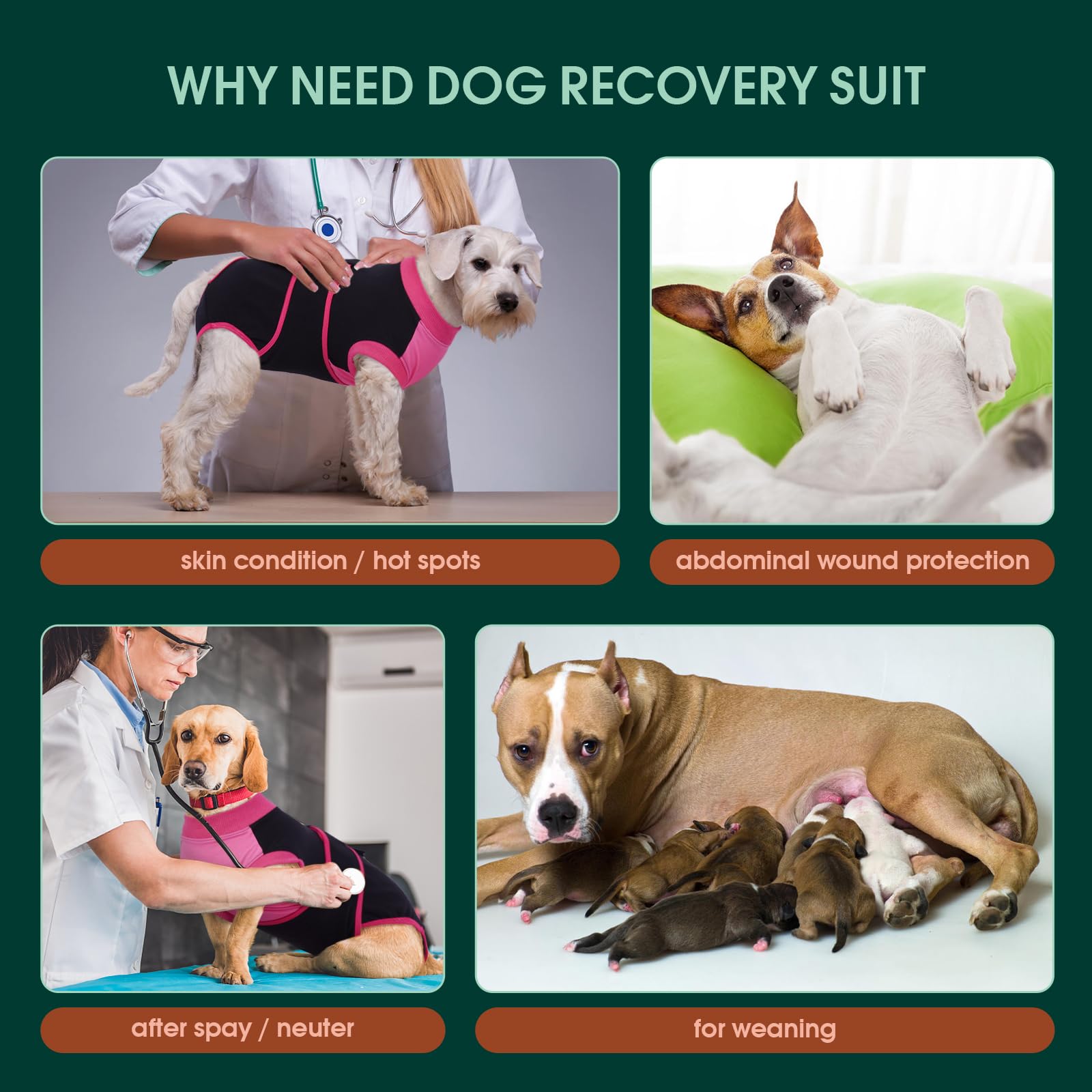 Kuoser traje recuperación perro, ajuste flexible facilita movimientos diarios