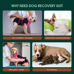 Kuoser traje recuperación perro, ajuste flexible facilita movimientos diarios