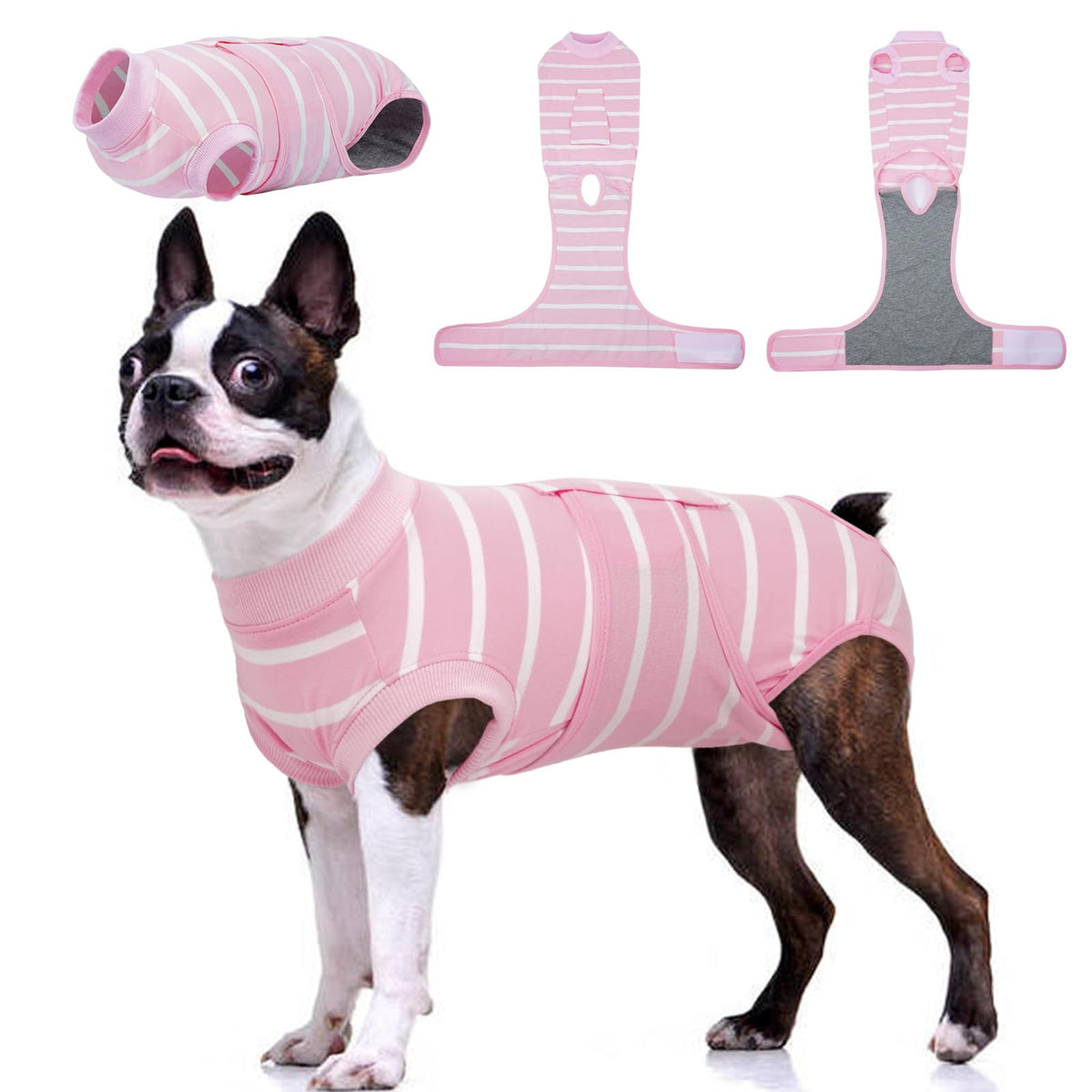 Traje Kuoser para perros: ajuste perfecto para incisiones postoperatorias