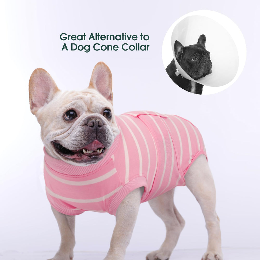 Alternativa al collar: Kuoser protege sin incomodar la cabeza del perro