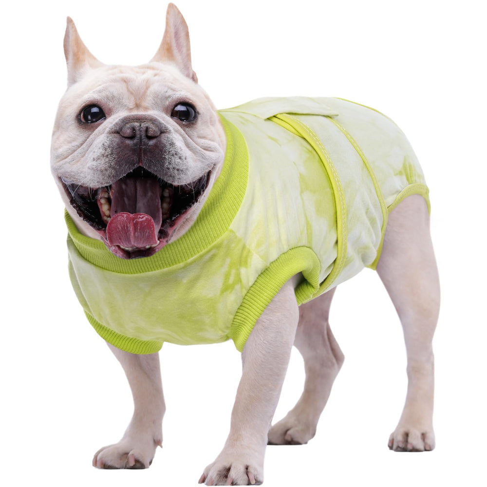 Kuoser traje de recuperación para perros evita lamidos y protege heridas.