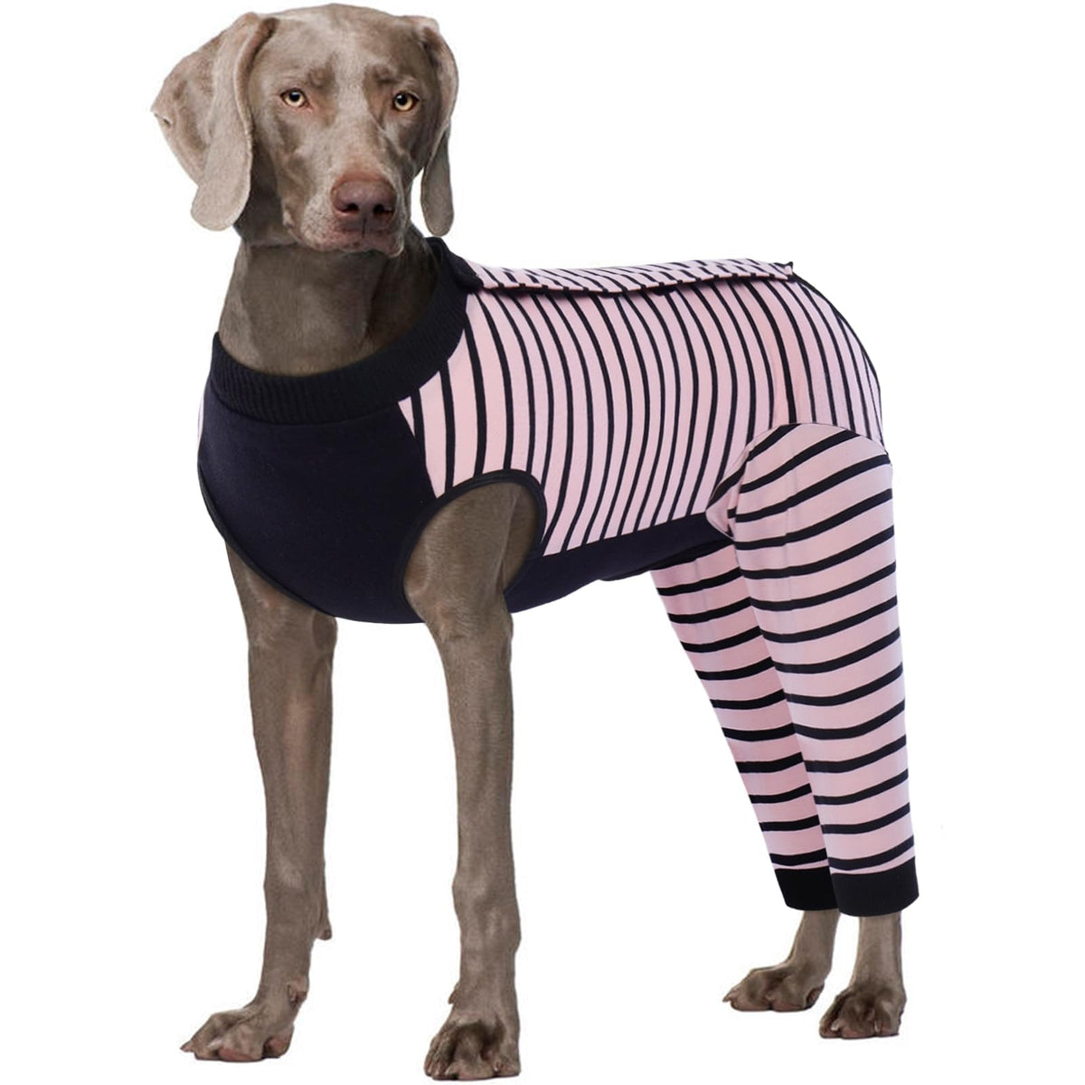 Kuoser traje recuperación perro con manga trasera protege la zona sin limitar movimientos