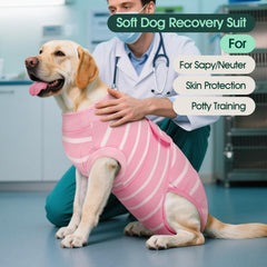Traje Kuoser para perros: material transpirable para mayor comodidad