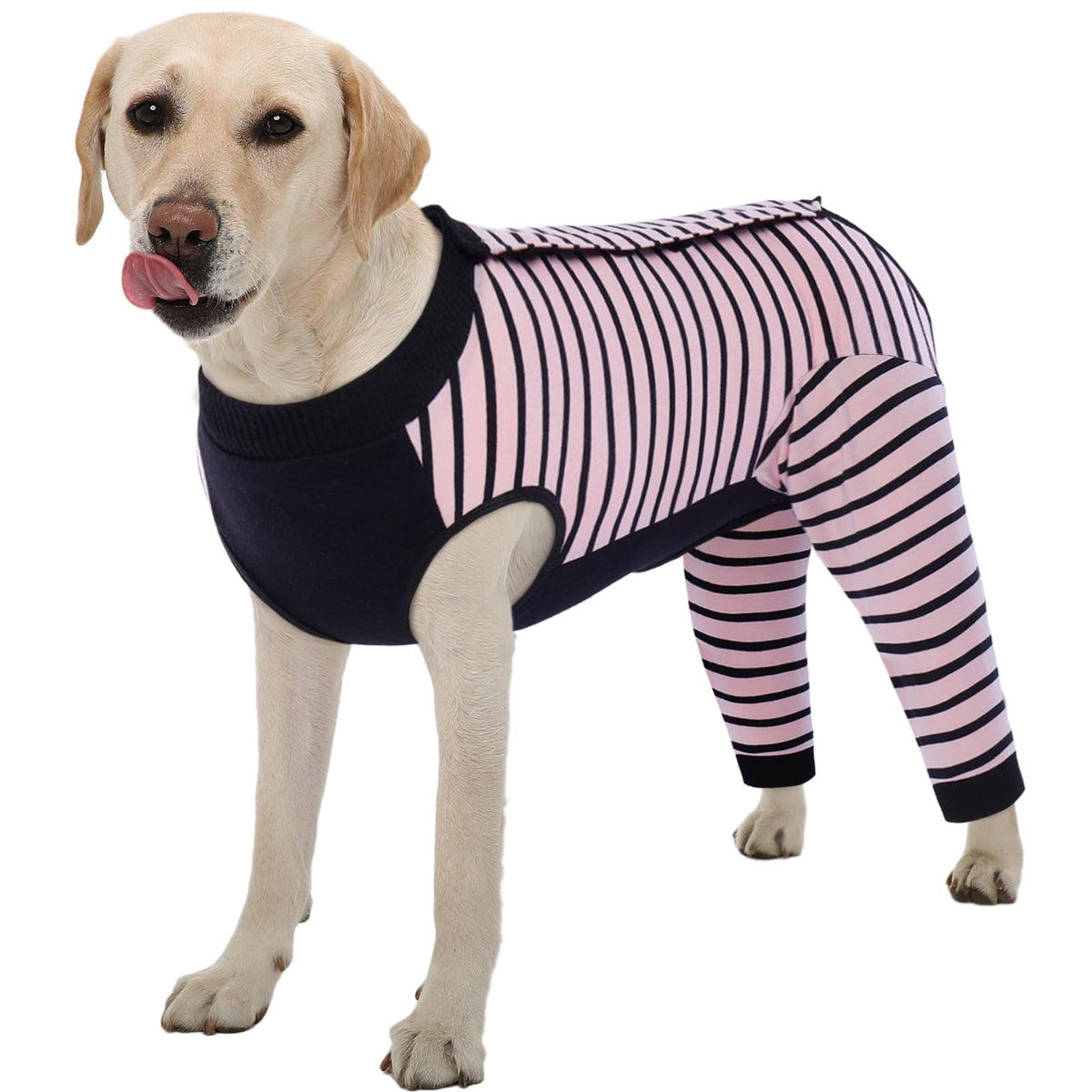 Kuoser traje recuperación para perro con manga trasera evita lamidos y mantiene movilidad