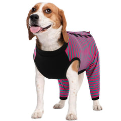 Kuoser traje recuperación para perro, protección de la pierna trasera y comodidad.