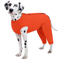 Kuoser traje recuperación para perro, patas traseras, evita lamidos y mantiene movilidad.