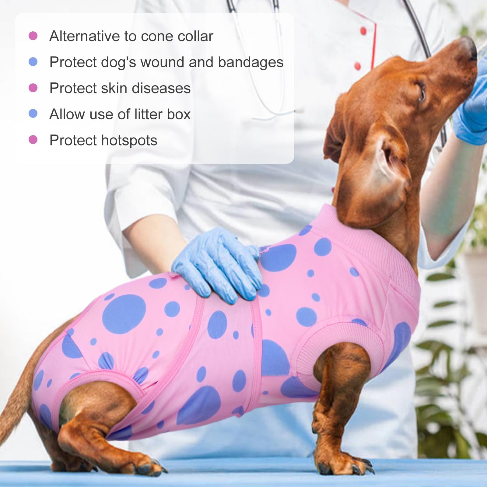Conjunto de recuperación para perros Kuoser: talla XS, cómodo y lavable