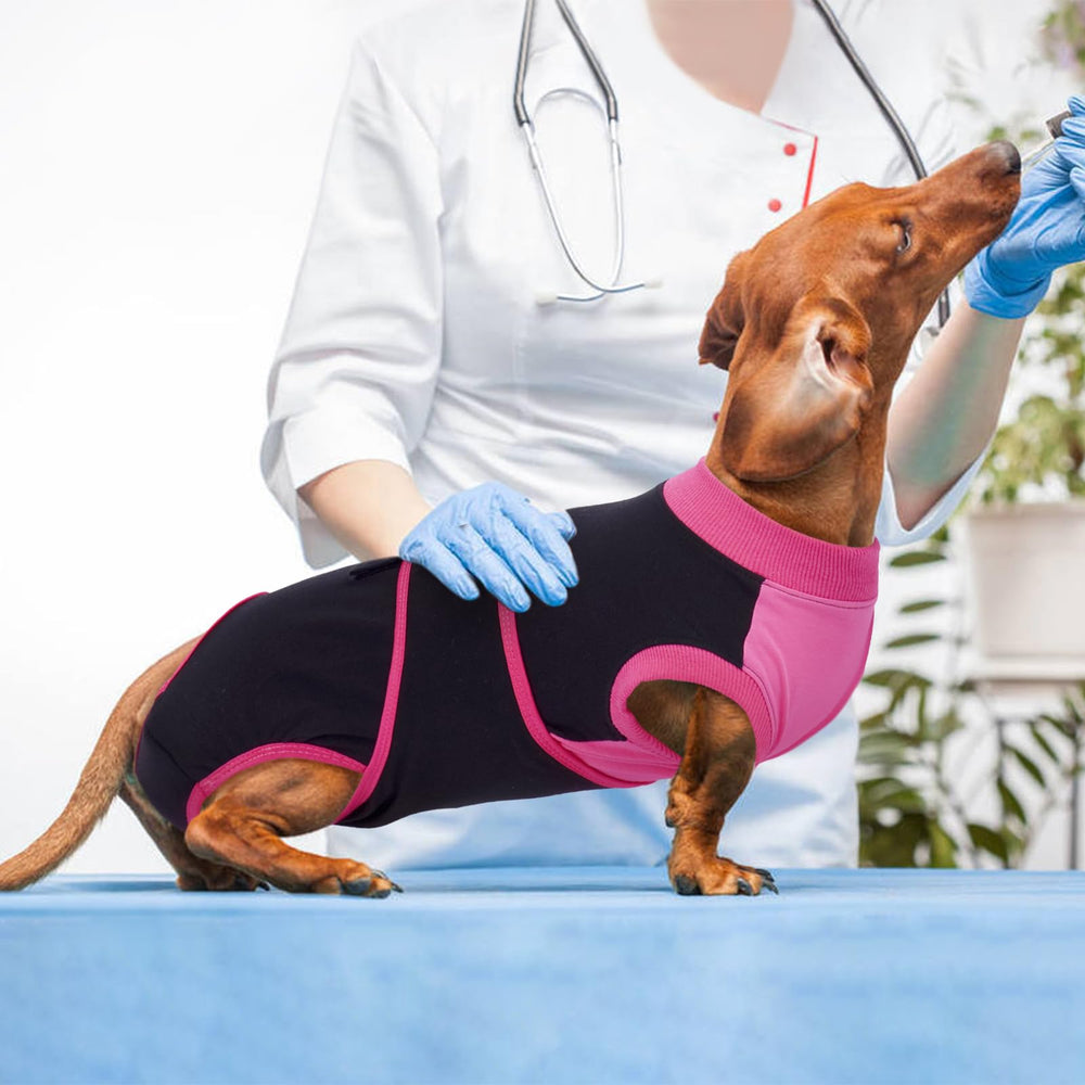 Kuoser traje recuperación perro, disponible en seis tallas para ajuste perfecto