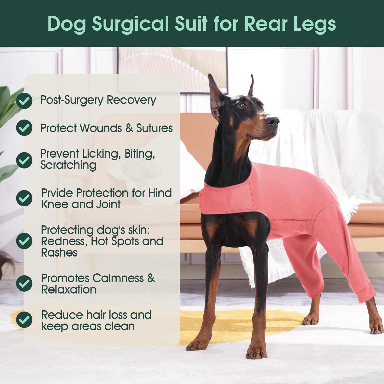 Kuoser traje recuperación perros: tela suave que abraza el cuerpo sin rozar.
