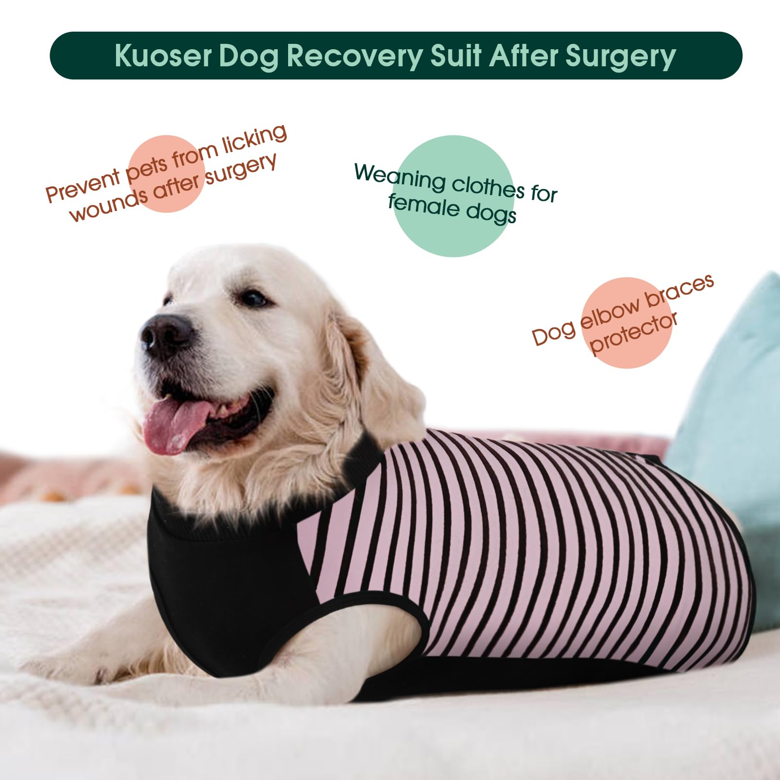 Kuoser traje sin cono para perro, alternativa discreta