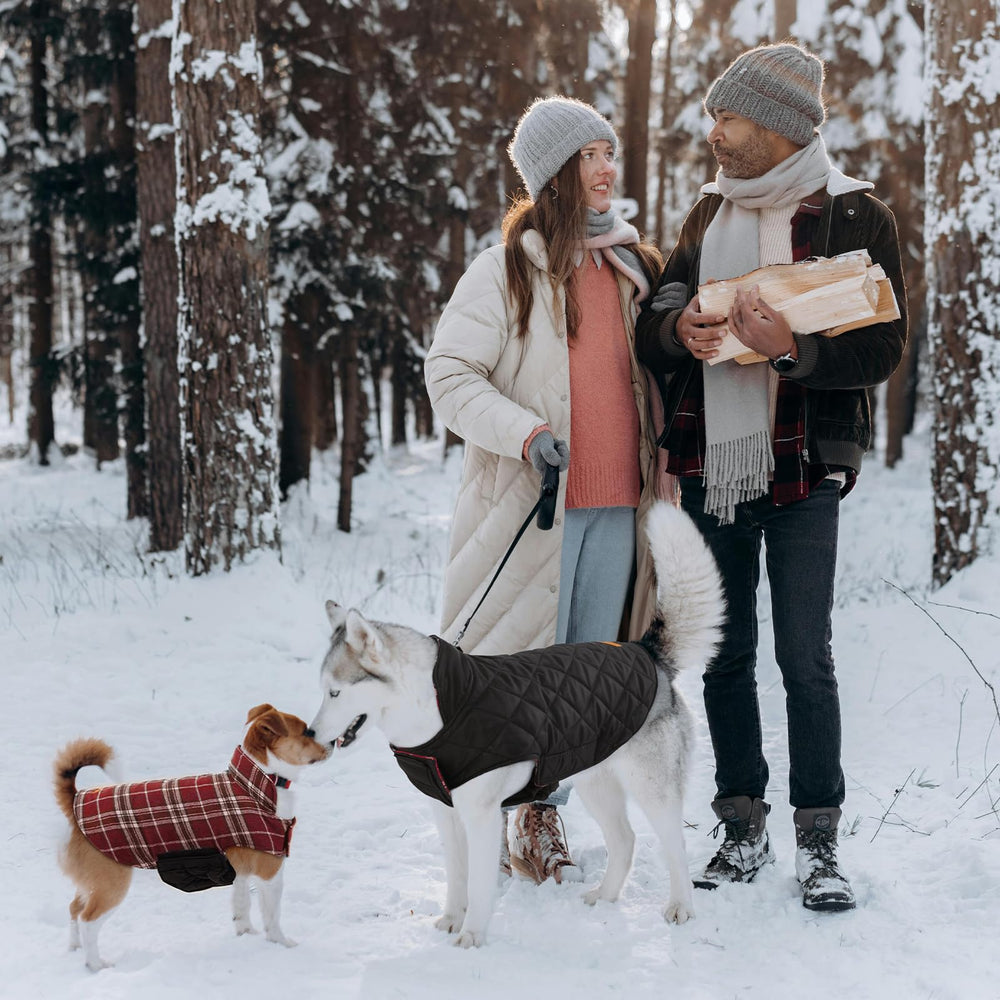 Kuoser uso diario perro caminar parques ideal para caminatas