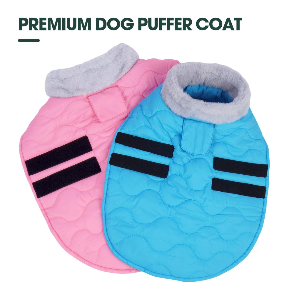 Kuoser chaqueta invernal para perros medianos en paseos de nieve.