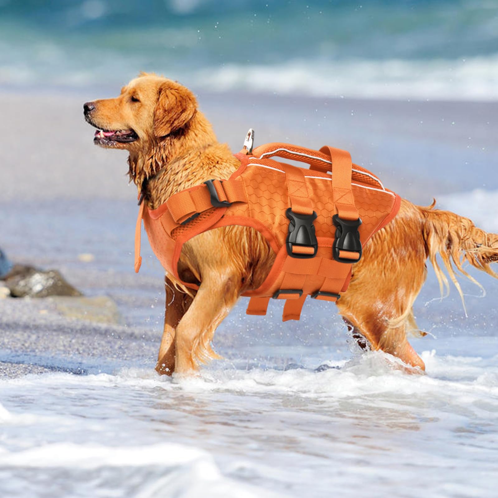 Uso en playa y piscina con seguridad y diversión