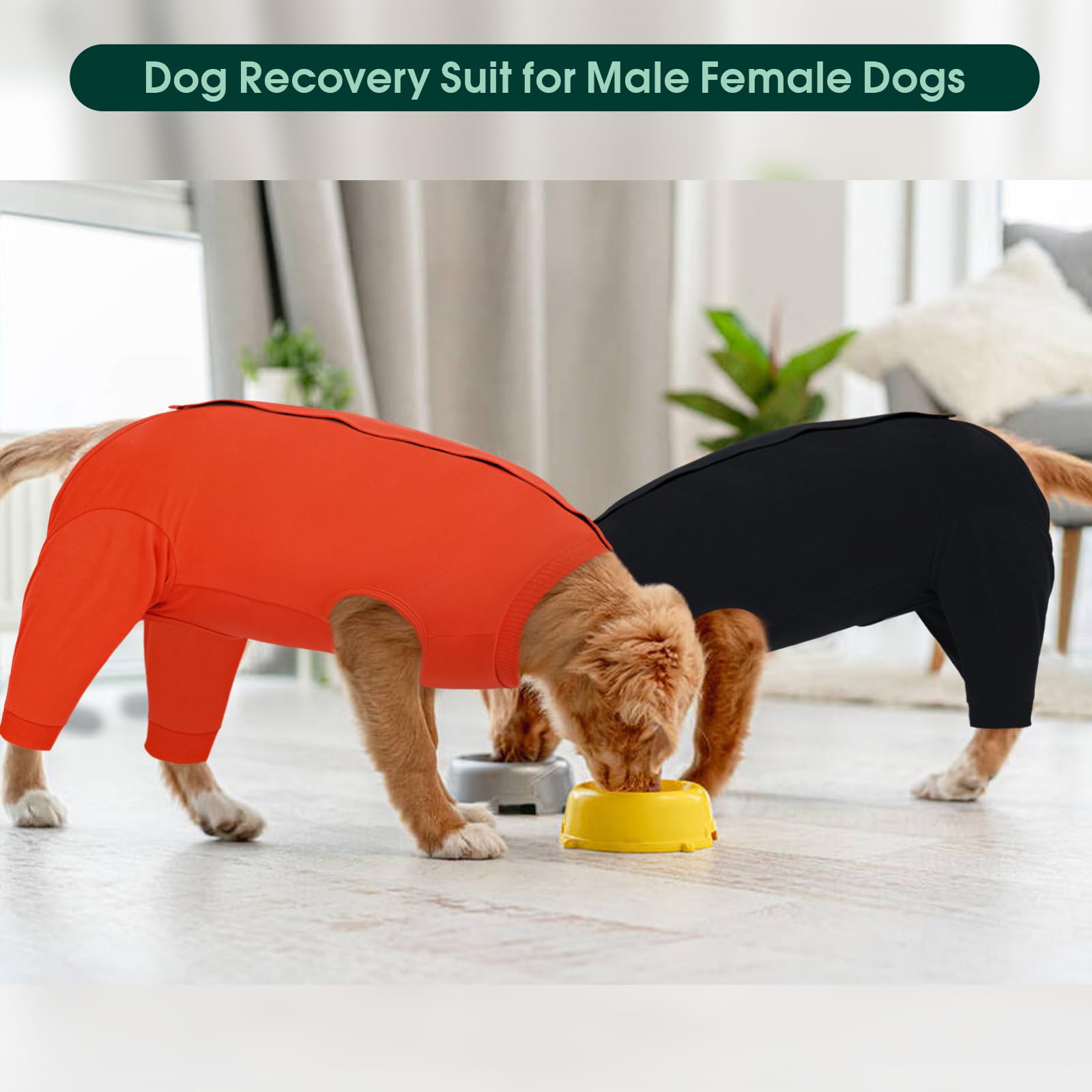 Kuoser uso versátil postoperatorio, vestimenta fiable para perros.