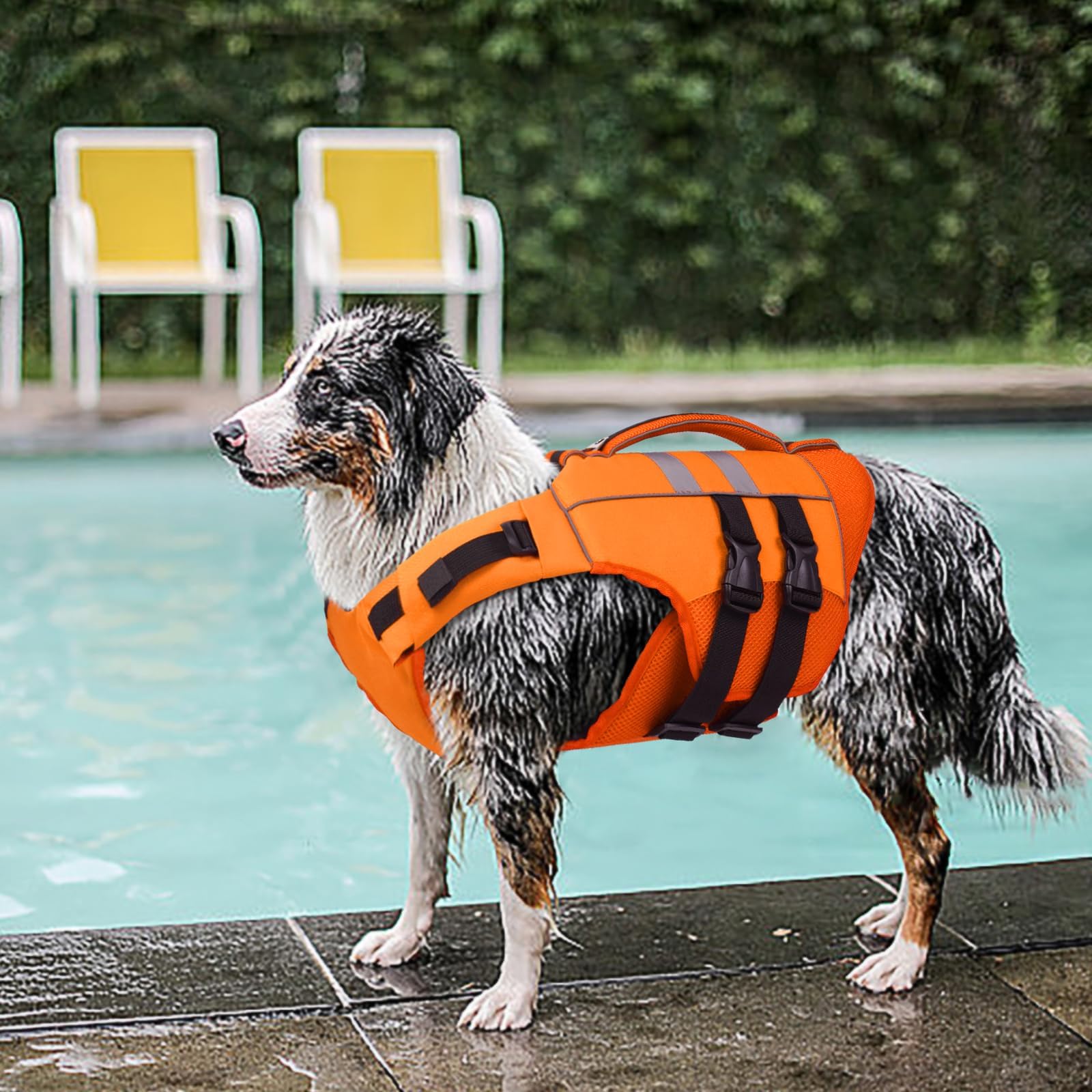 Uso en agua: Kuoser XL facilita flotabilidad y tranquilidad durante natación o paseo acuático.
