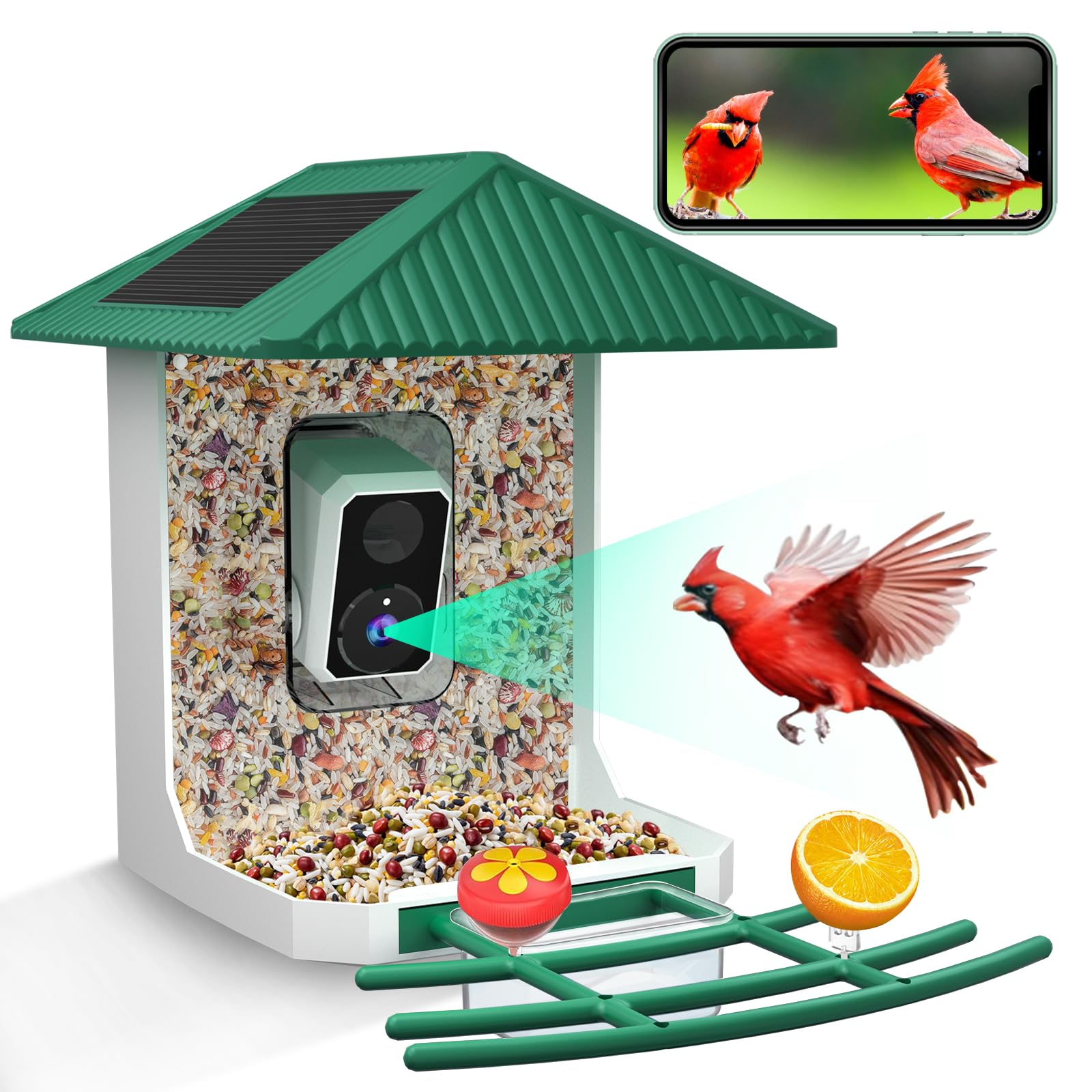 Kurain alimentador de aves con cámara en primer plano para observación detallada