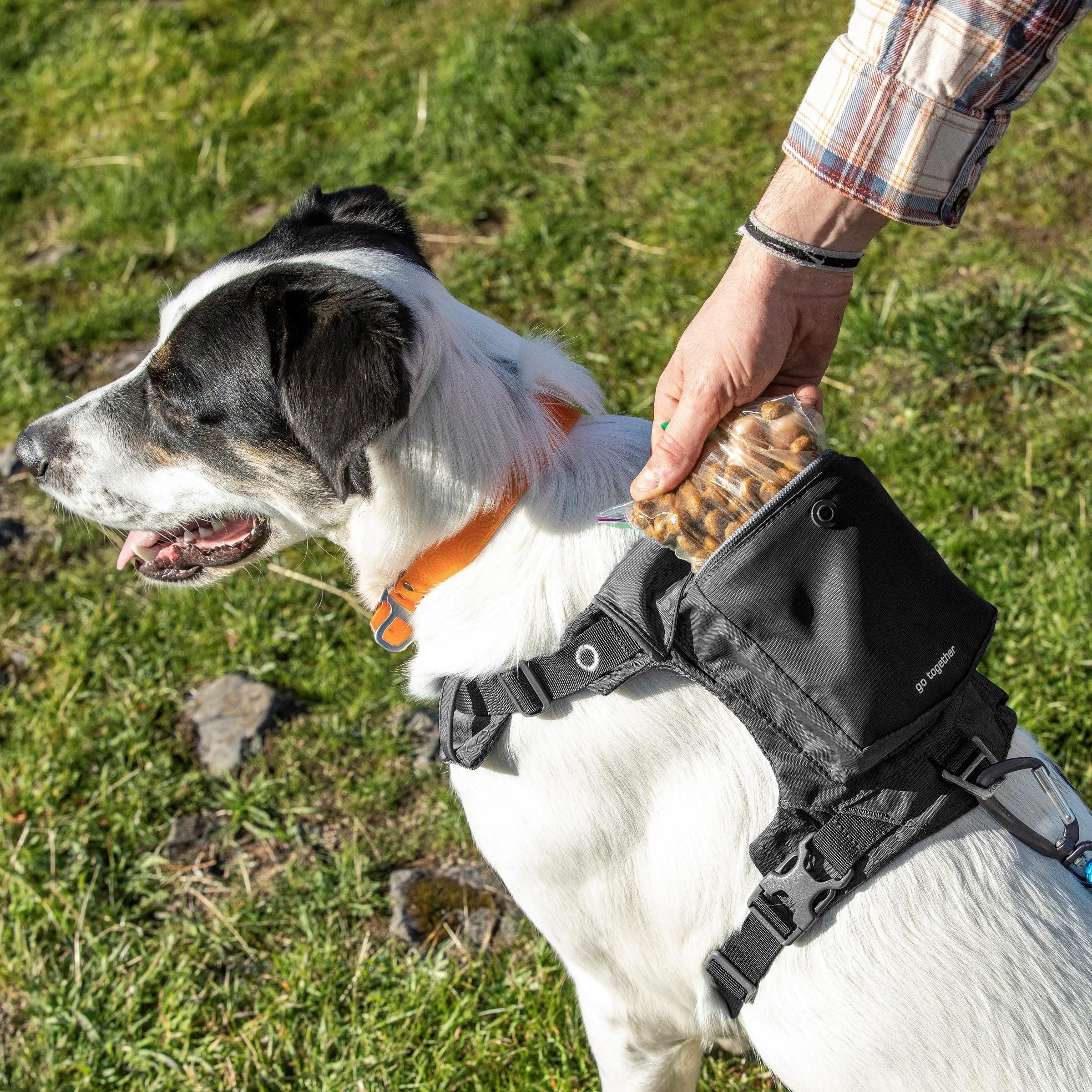 Kurgo arnés con tejido ripstop duradero para uso al aire libre