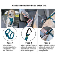 Cinturón de seguridad Kurgo de 10 pulgadas facilita la sujeción en el coche