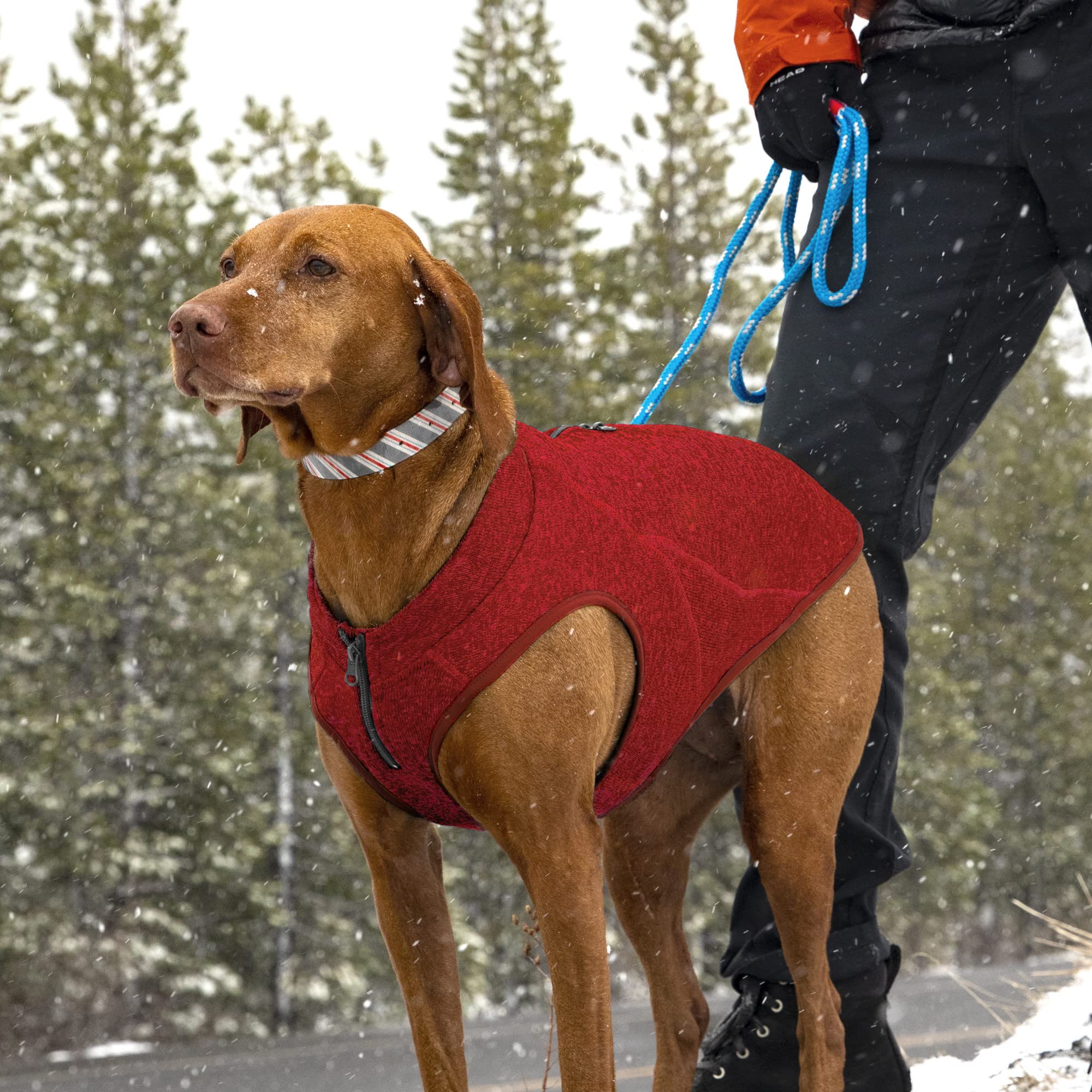 Kurgo Core Sweater ideal para uso invernal todo el año en perros grandes.