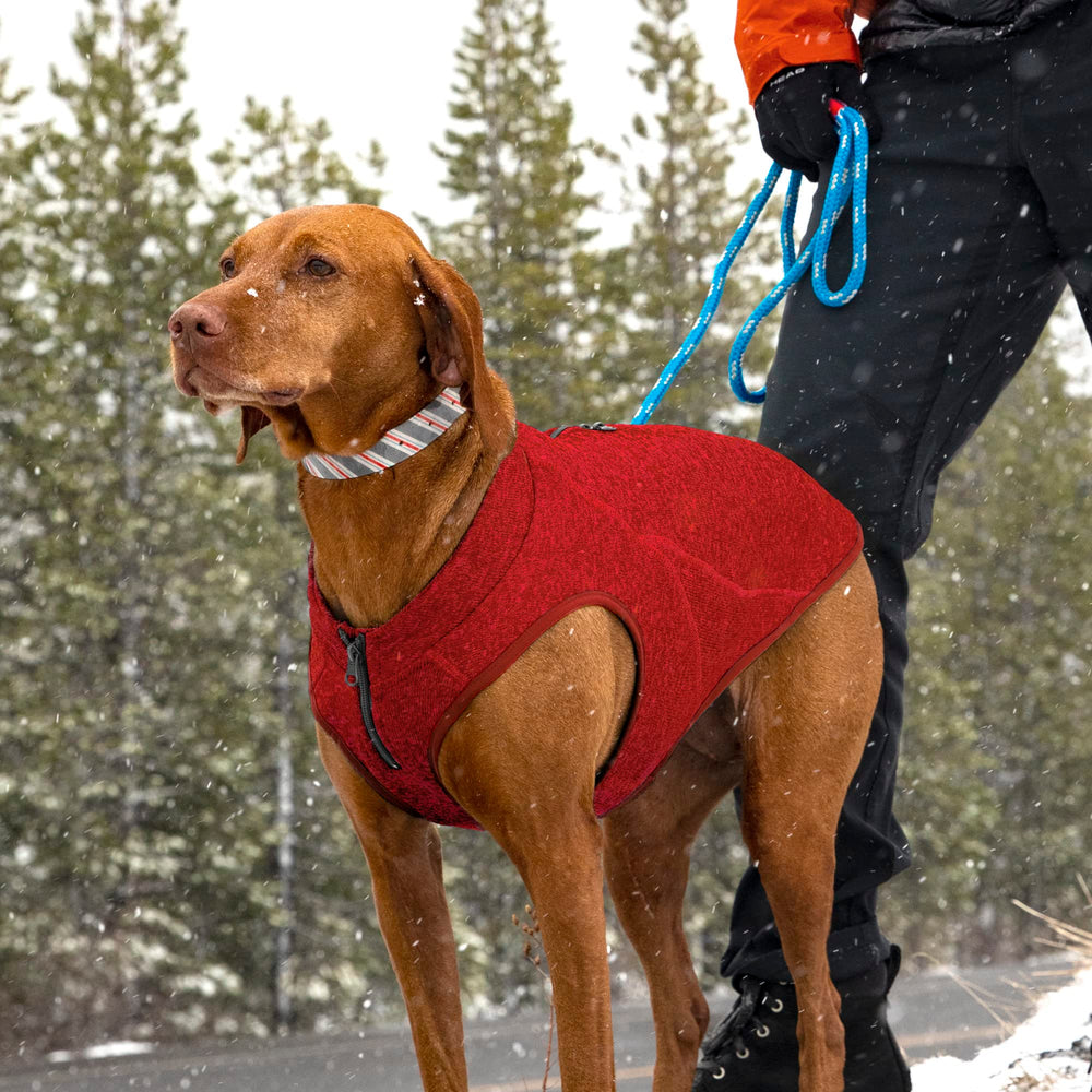 Kurgo Core Sweater ideal para uso invernal todo el año en perros grandes.