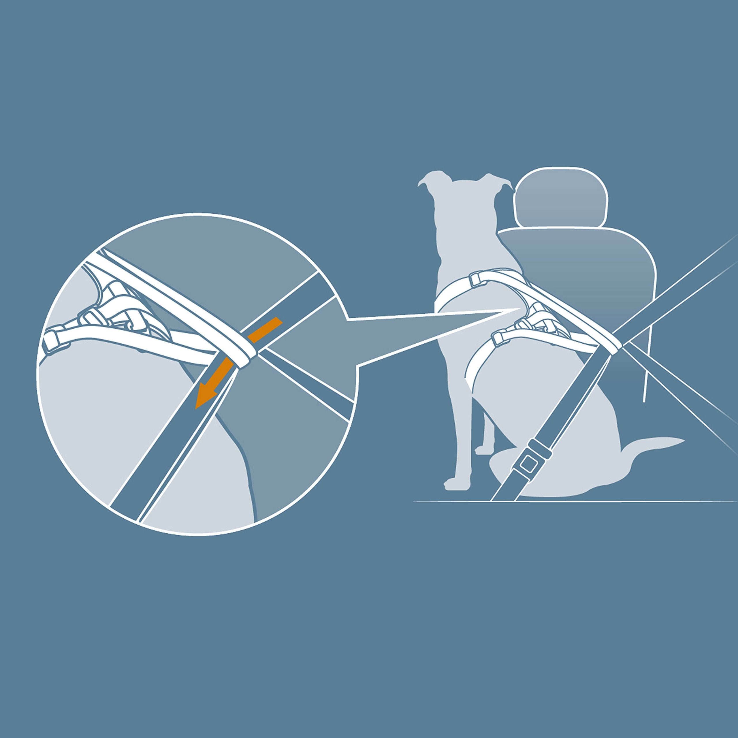 Kurgo Impact: pensado para aventuras reales con perros.
