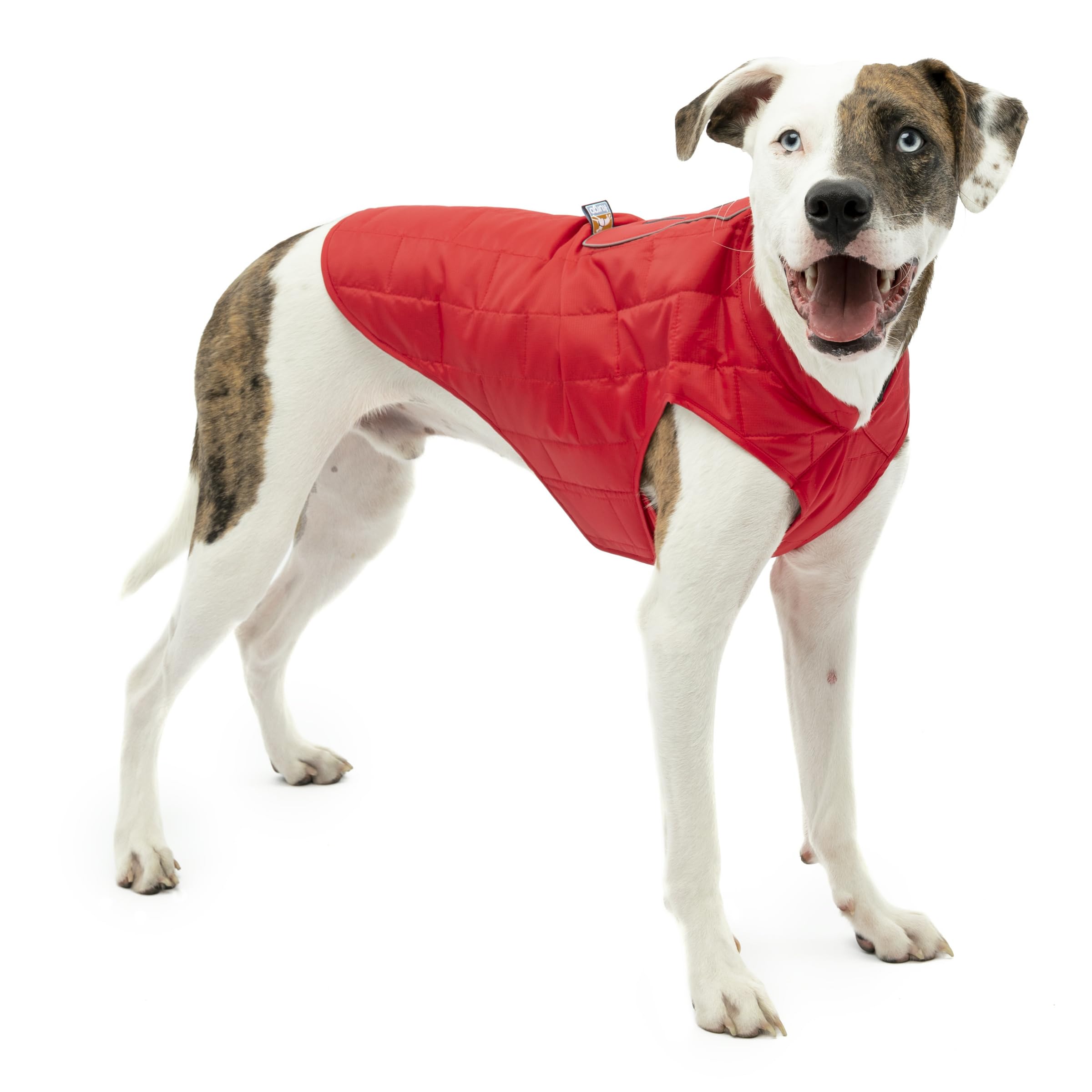 Kurgo Loft Chaqueta para Perro, diseño reversible en dos tonos y protección contra viento.