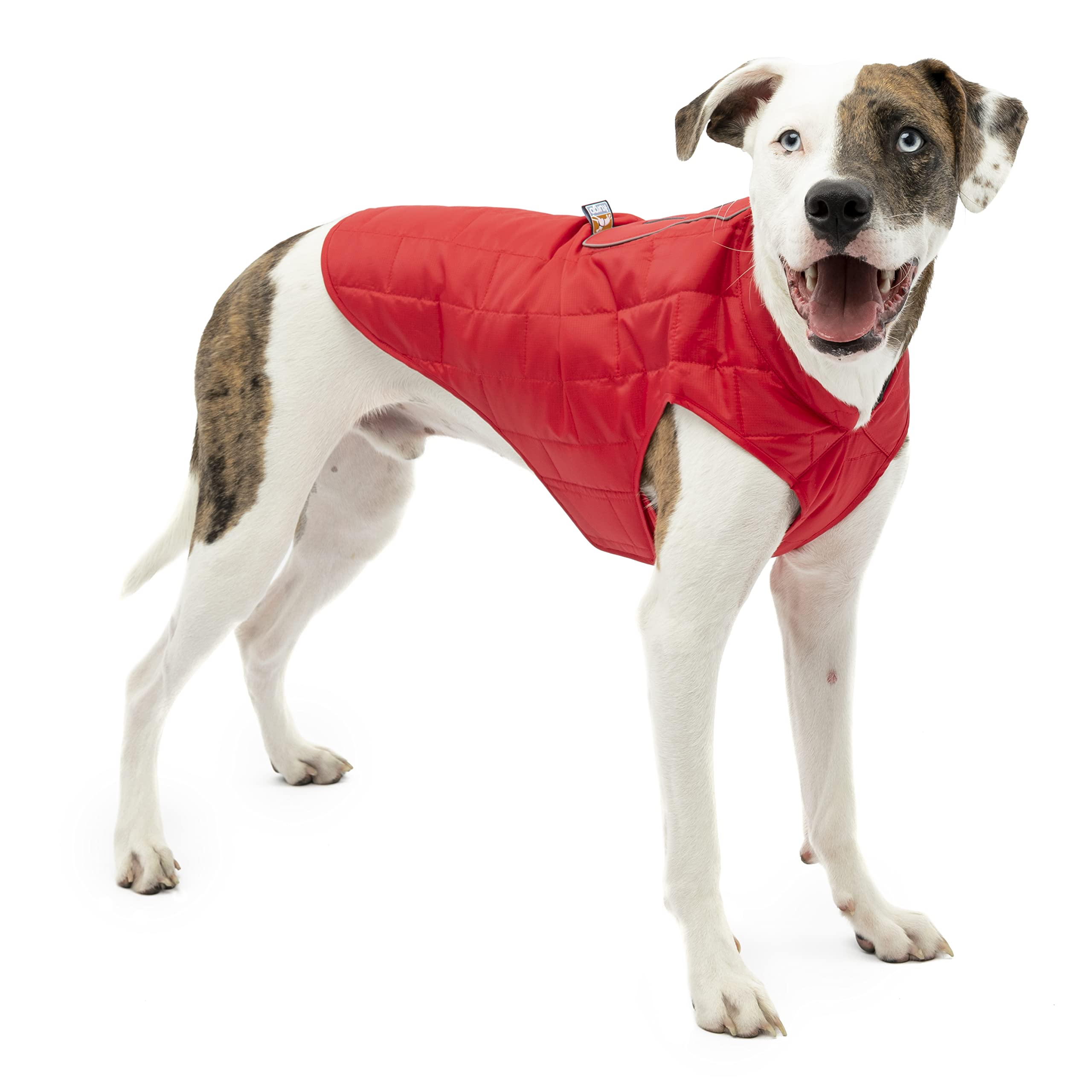 Chaqueta Kurgo Loft para perro, frente visible, cálida y reversible para paseos al aire libre.