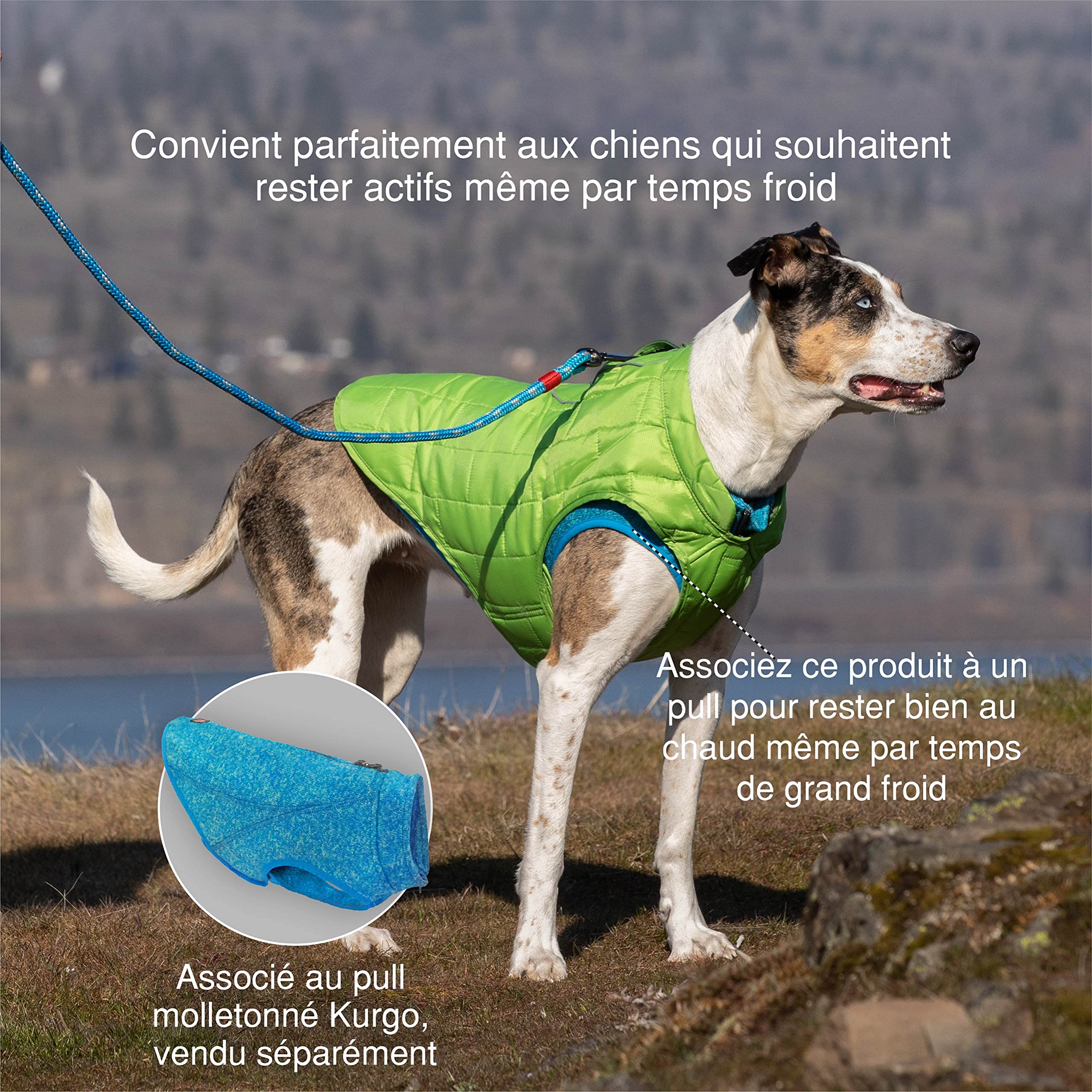 Kurgo Loft: cremallera bidireccional facilita acceso al arnés y al collar