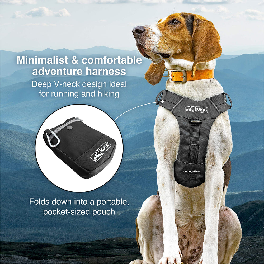 Arnés Kurgo Stash n' Dash con malla interior transpirable para perros activos.