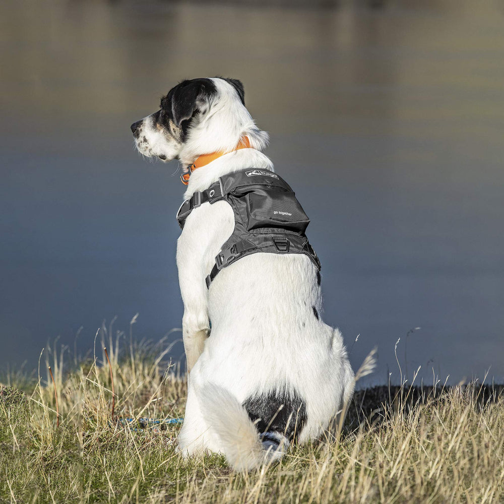 Arnés Kurgo con bolsillo integrado para guardar accesorios de viaje
