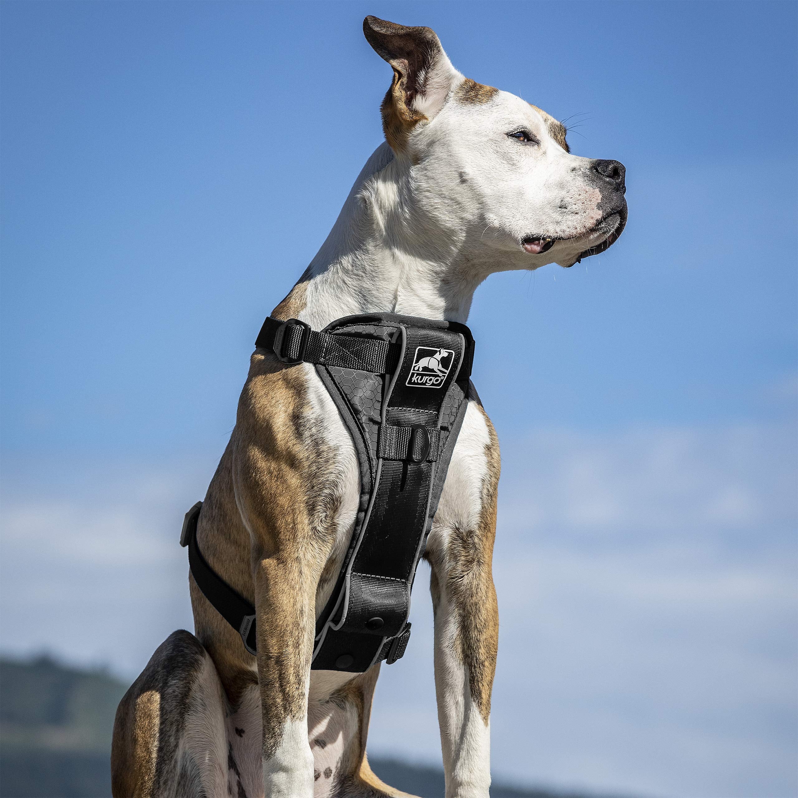 Kurgo Tru-Fit Arnés con almohadilla de pecho para mayor confort durante caminatas diarias.