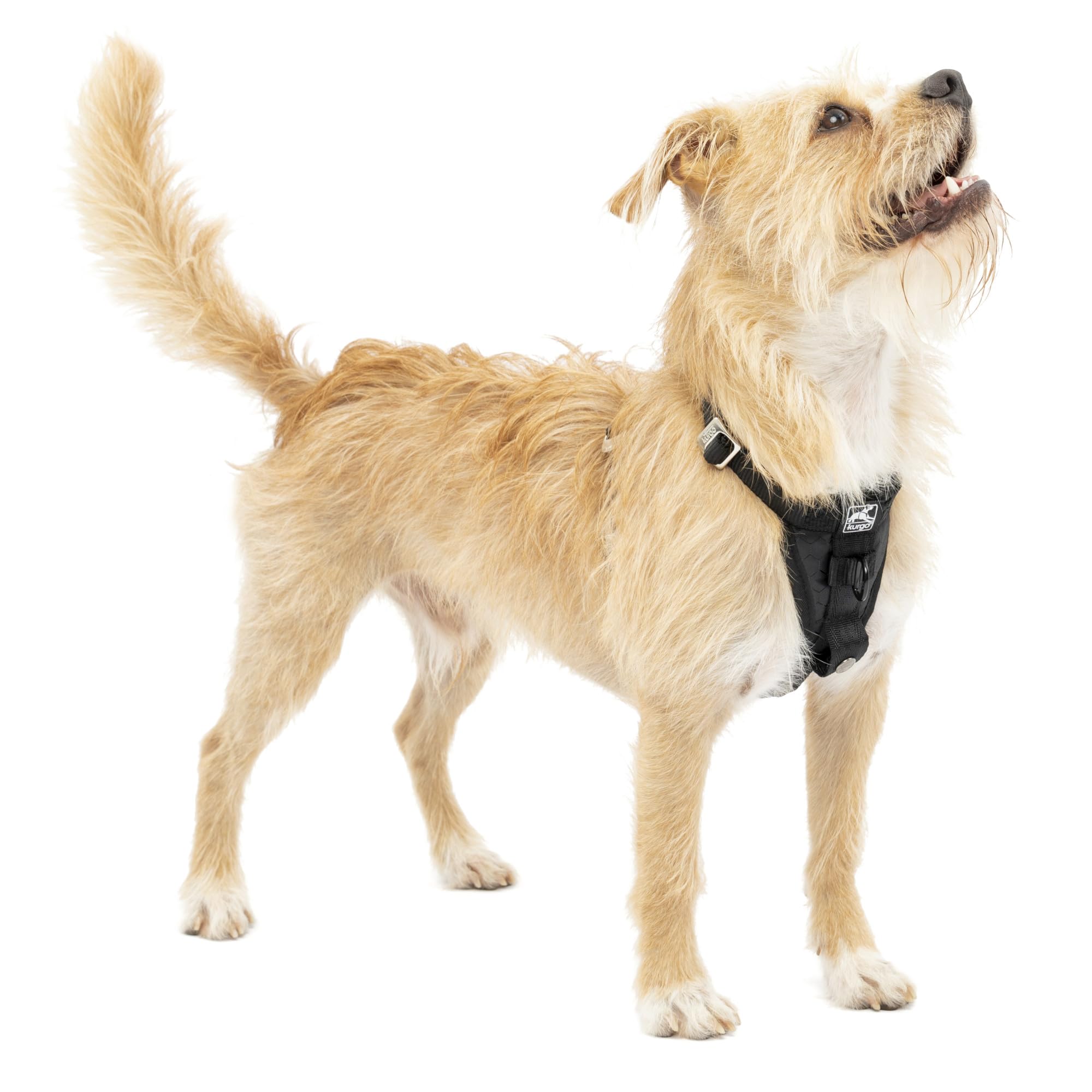 Kurgo Tru-Fit arnés para perro en coche, vista frontal segura para paseos diarios