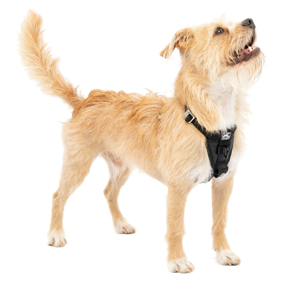 Kurgo Tru-Fit arnés para perro en coche, vista frontal segura para paseos diarios