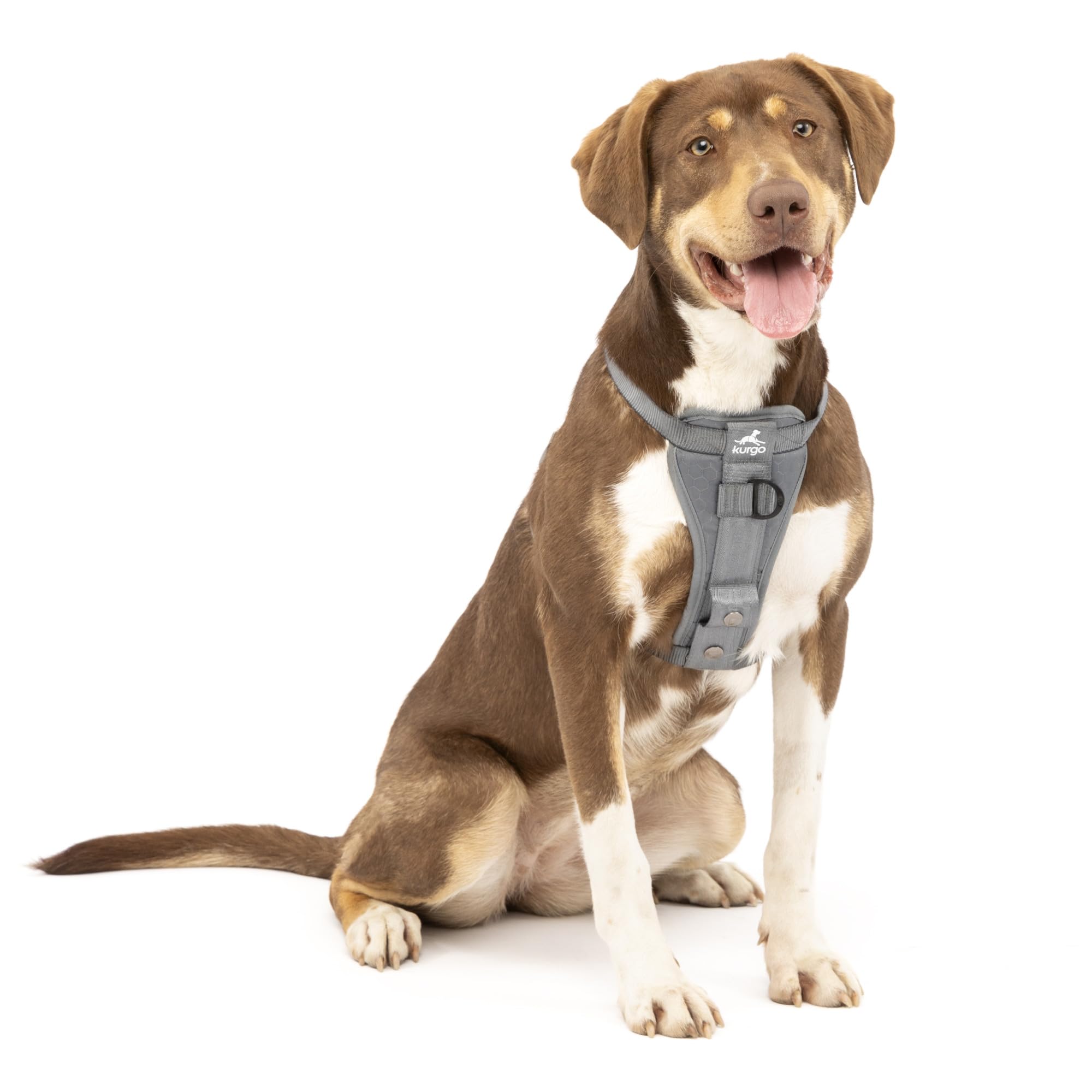 Kurgo Tru-Fit arnés para perro en coche, vista general con ajuste seguro