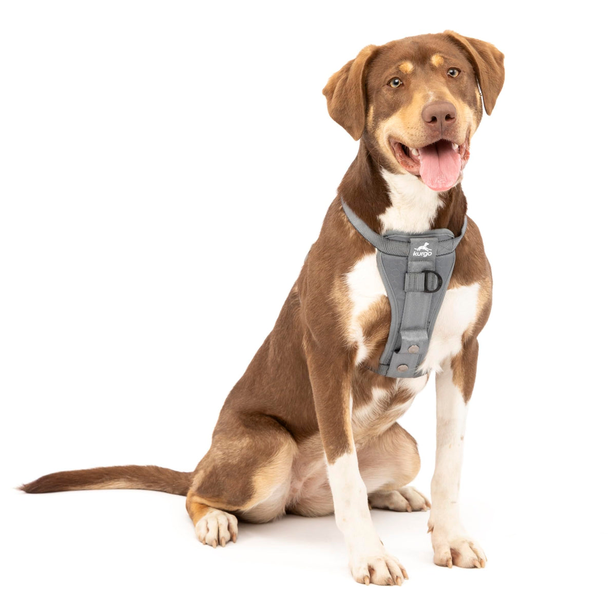 Kurgo Tru-Fit arnés para perro en coche, vista general con ajuste seguro