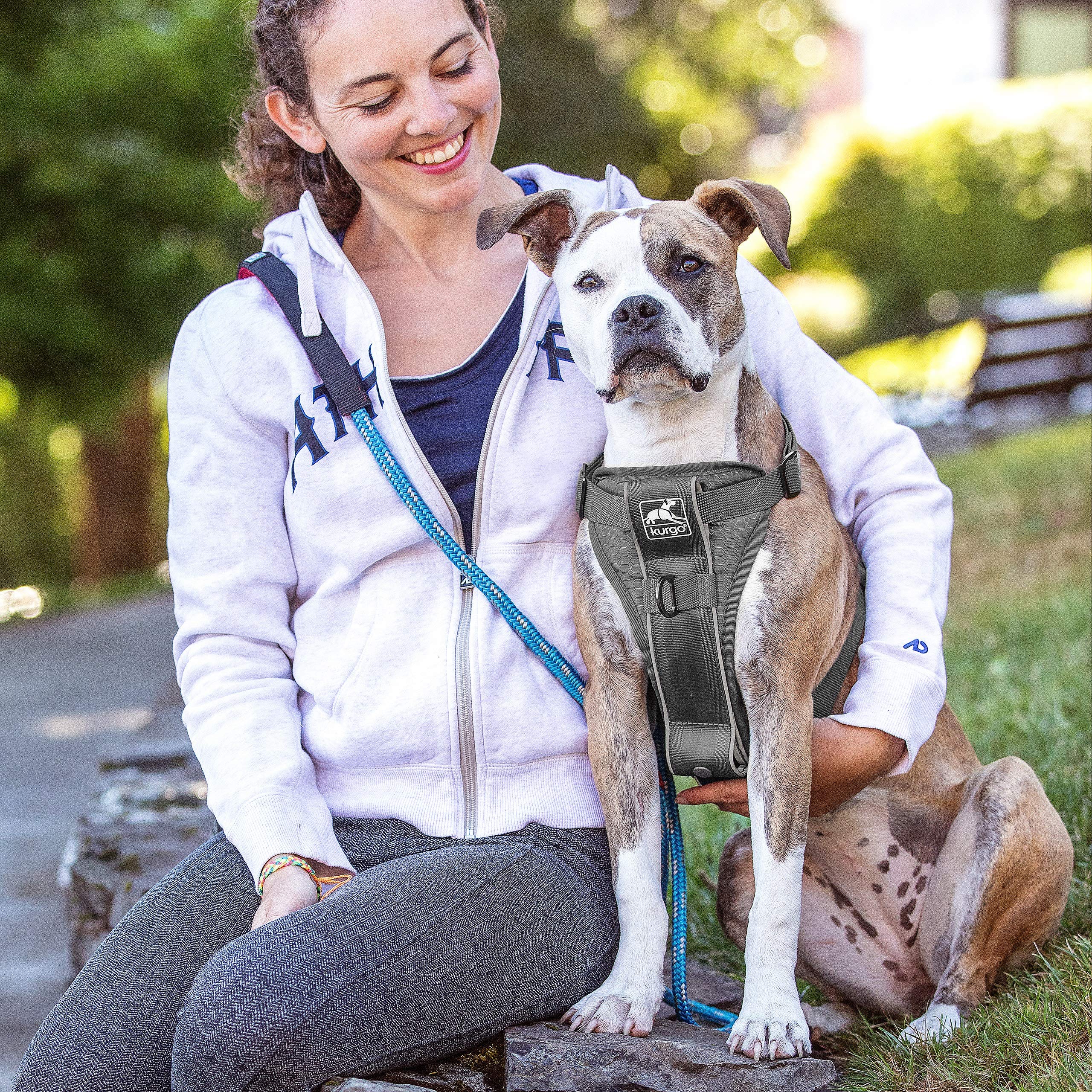 Banda reflectante de Kurgo Tru-Fit para paseos seguros en poca luz.