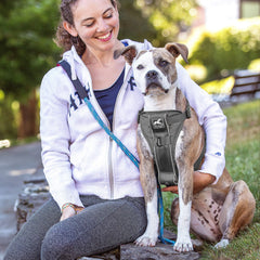 Banda reflectante de Kurgo Tru-Fit para paseos seguros en poca luz.