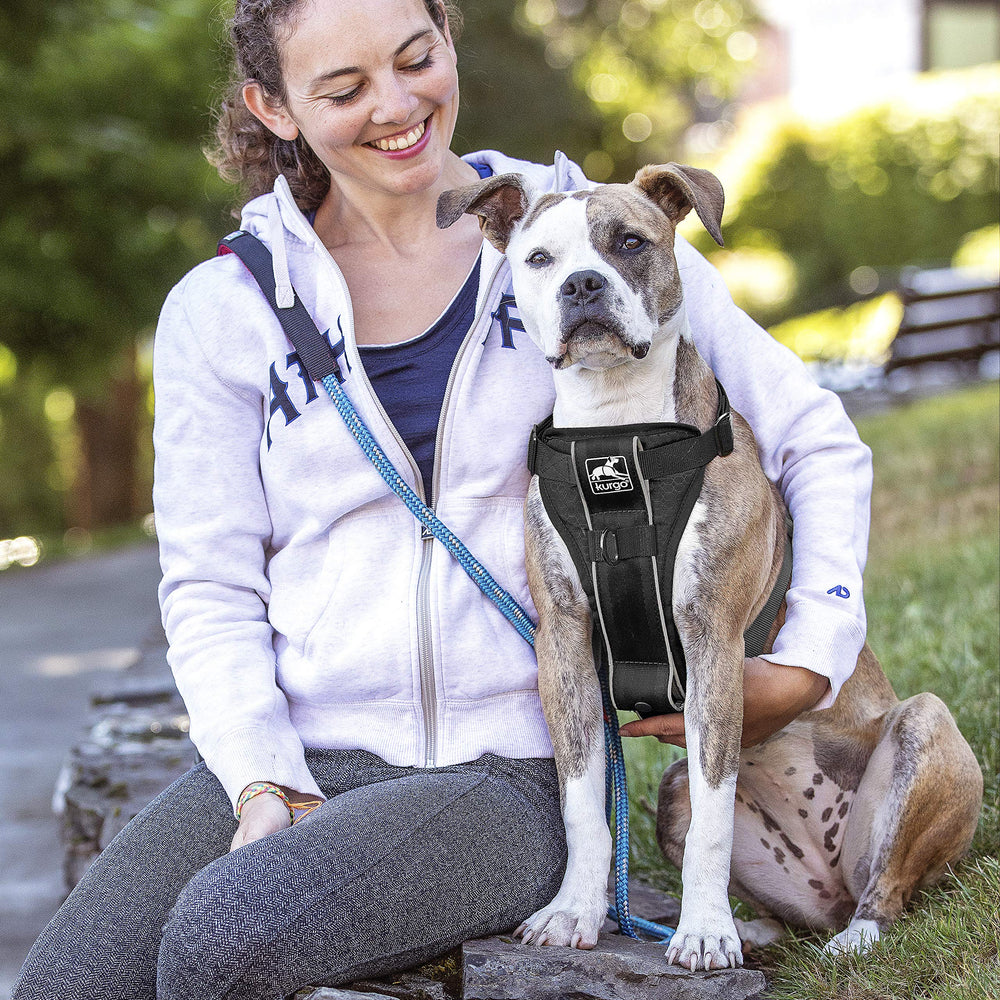 Kurgo Tru-Fit arnés dorso: seguridad y control en caminatas