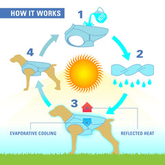 Kurgo Dog Core Cooling Vest con correas ajustables para un ajuste seguro