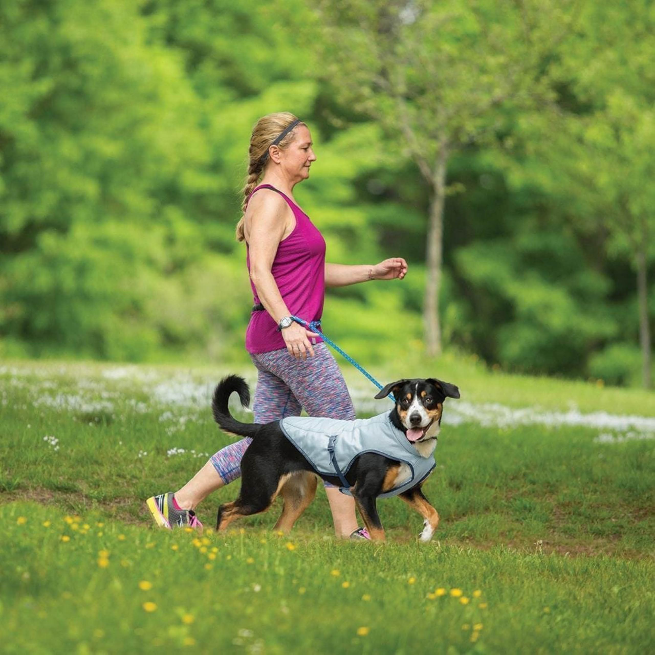 Kurgo Dog Core Cooling Vest detalles reflectantes para mayor visibilidad nocturna