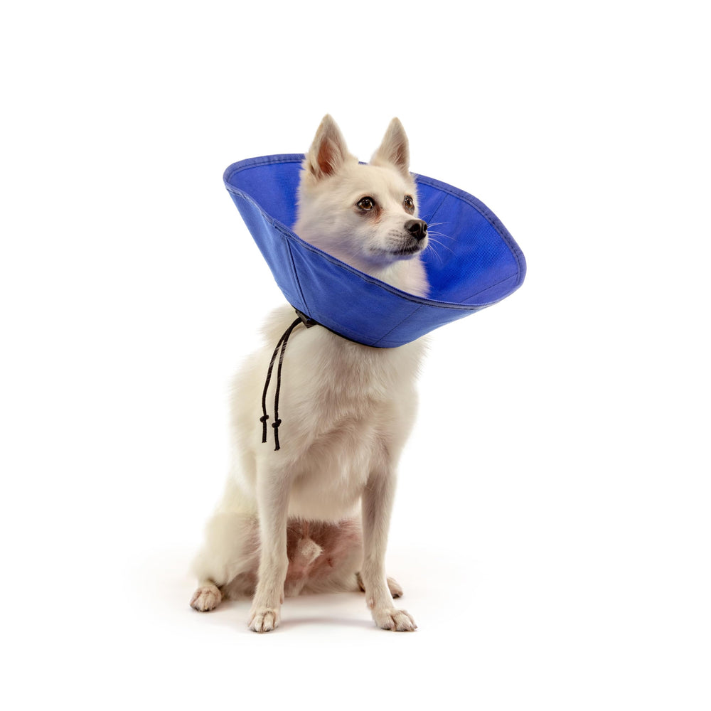 KVP EZ Soft collar con sistema de ajuste y pestillo para ajuste rápido